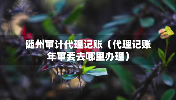 隨州審計代理記賬（代理記賬年審要去哪里辦理）