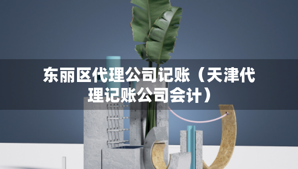 東麗區(qū)代理公司記賬（天津代理記賬公司會計）
