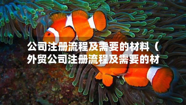 公司注冊流程及需要的材料（外貿(mào)公司注冊流程及需要的材料）
