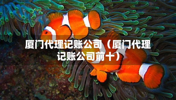 廈門代理記賬公司（廈門代理記賬公司前十）