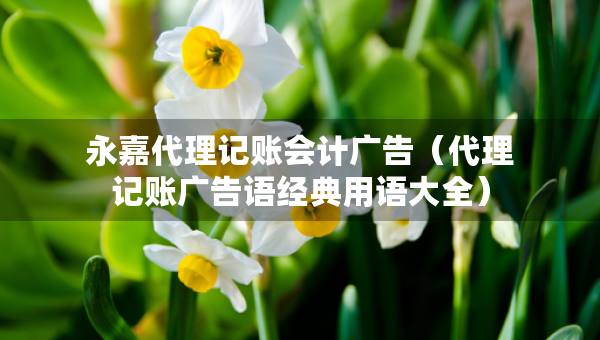 永嘉代理記賬會(huì)計(jì)廣告（代理記賬廣告語經(jīng)典用語大全）