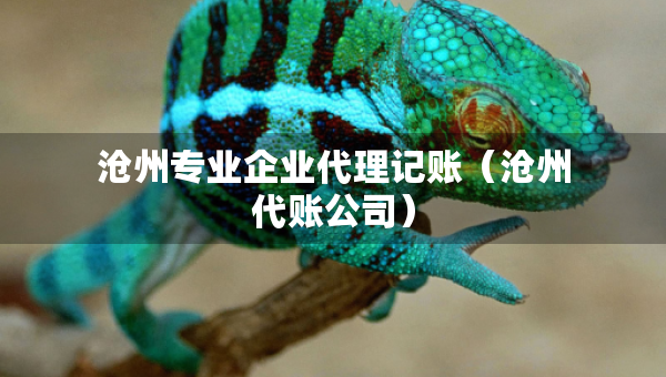 滄州專業(yè)企業(yè)代理記賬（滄州代賬公司）