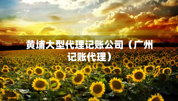 黃埔大型代理記賬公司（廣州記賬代理）