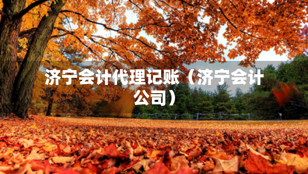 濟寧會計代理記賬（濟寧會計公司）
