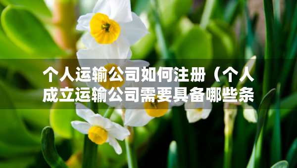 個人運輸公司如何注冊（個人成立運輸公司需要具備哪些條件）
