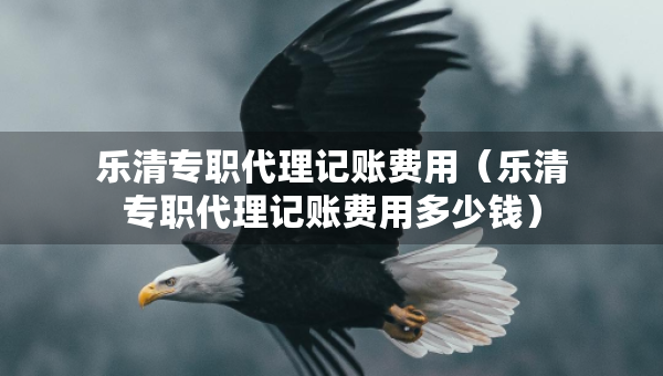樂清專職代理記賬費(fèi)用（樂清專職代理記賬費(fèi)用多少錢）