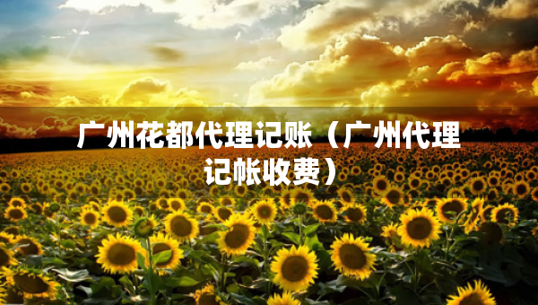 廣州花都代理記賬（廣州代理記帳收費）