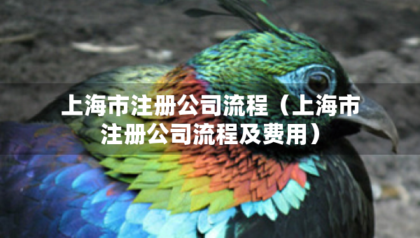 上海市注冊公司流程（上海市注冊公司流程及費用）