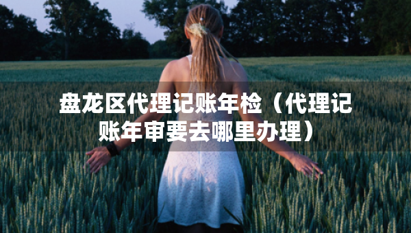 盤龍區(qū)代理記賬年檢（代理記賬年審要去哪里辦理）