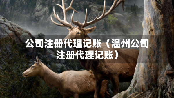 公司注冊(cè)代理記賬（溫州公司注冊(cè)代理記賬）