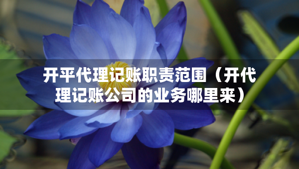 開平代理記賬職責范圍（開代理記賬公司的業(yè)務哪里來）