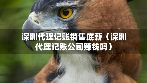 深圳代理記賬銷售底薪（深圳代理記賬公司賺錢嗎）