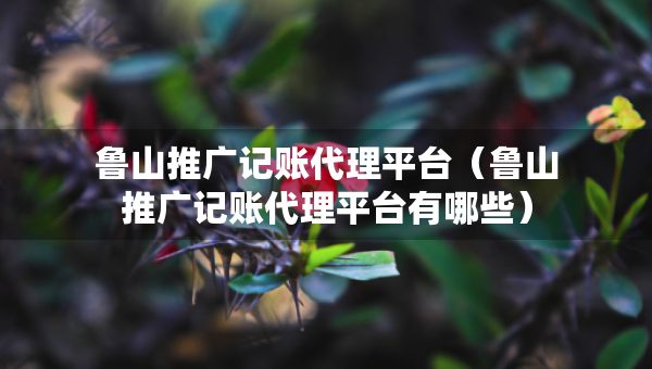 魯山推廣記賬代理平臺（魯山推廣記賬代理平臺有哪些）