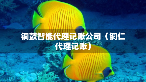 銅鼓智能代理記賬公司（銅仁代理記賬）