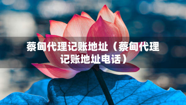 蔡甸代理記賬地址(蔡甸代理記賬地址電話) 蔡甸代理記賬地址(蔡甸代理記賬地址電話)