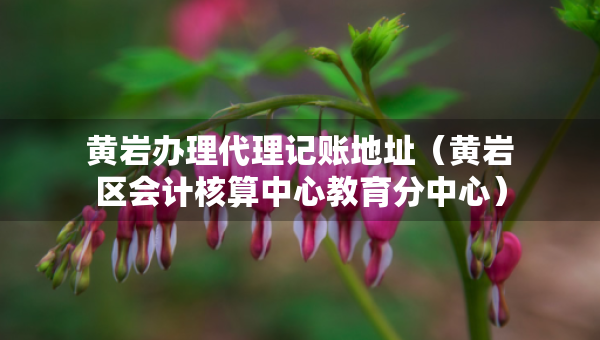黃巖辦理代理記賬地址（黃巖區(qū)會計核算中心教育分中心）