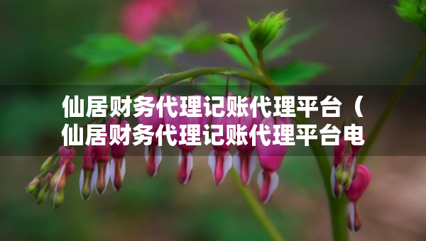 仙居財務(wù)代理記賬代理平臺（仙居財務(wù)代理記賬代理平臺電話）