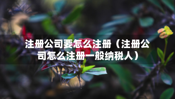 注冊公司要怎么注冊(注冊公司怎么注冊一般納稅人) 注冊公司要怎么注冊(注冊公司怎么注冊一般納稅人)