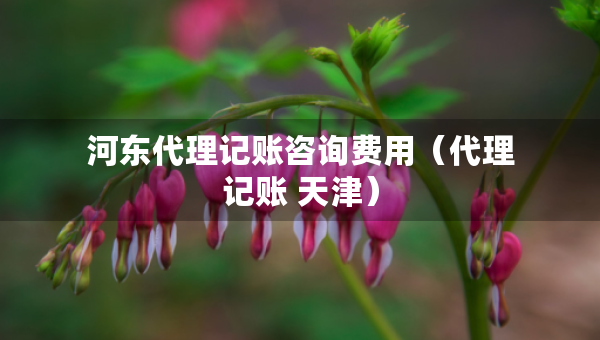 河?xùn)|代理記賬咨詢(xún)費(fèi)用（代理記賬 天津）