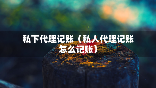 私下代理記賬（私人代理記賬怎么記賬）