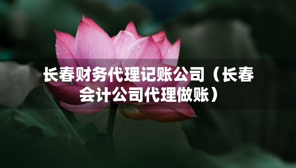 長(zhǎng)春財(cái)務(wù)代理記賬公司(長(zhǎng)春會(huì)計(jì)公司代理做賬) 長(zhǎng)春財(cái)務(wù)代理記賬公司(長(zhǎng)春會(huì)計(jì)公司代理做賬)