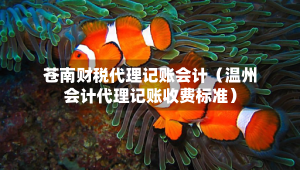 蒼南財稅代理記賬會計（溫州會計代理記賬收費標準）