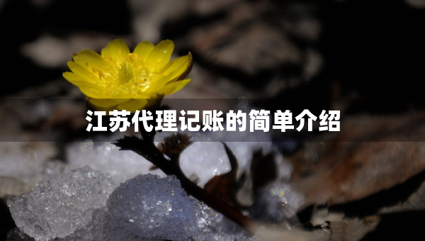 江蘇代理記賬的簡單介紹