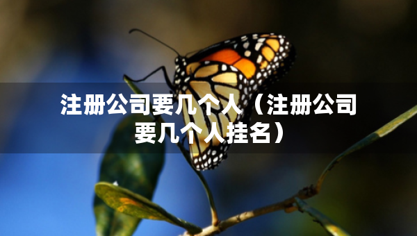 注冊公司要幾個人（注冊公司要幾個人掛名）