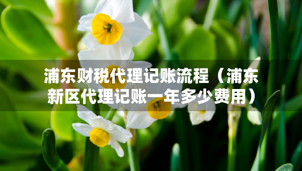 浦東財(cái)稅代理記賬流程(浦東新區(qū)代理記賬一年多少費(fèi)用) 浦東財(cái)稅代理記賬流程(浦東新區(qū)代理記賬一年多少費(fèi)用)