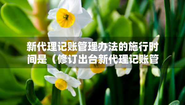新代理記賬管理辦法的施行時間是（修訂出臺新代理記賬管理辦法的意義）