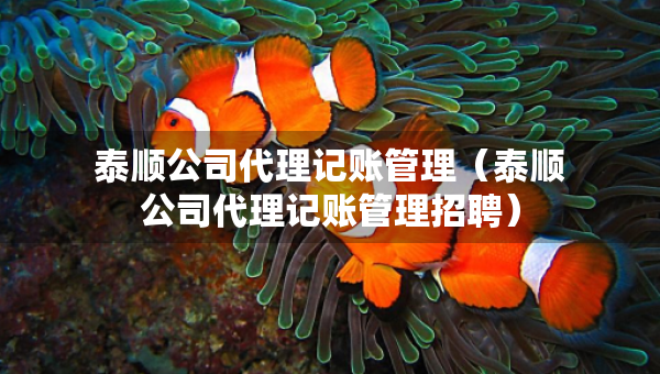 泰順公司代理記賬管理（泰順公司代理記賬管理招聘）