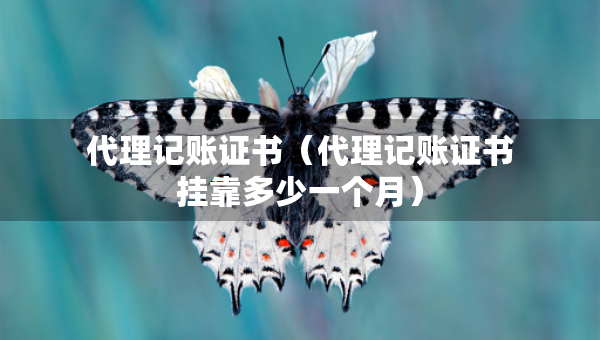 代理記賬證書（代理記賬證書掛靠多少一個月）