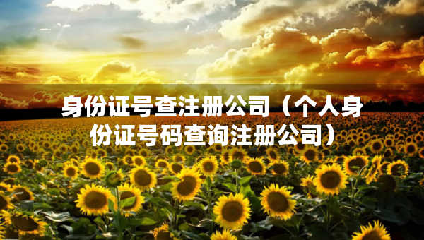 身份證號查注冊公司（個人身份證號碼查詢注冊公司）