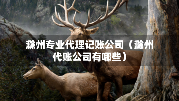 滁州專業(yè)代理記賬公司（滁州代賬公司有哪些）