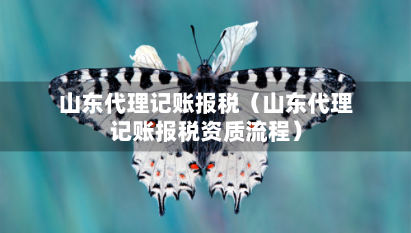 山東代理記賬報(bào)稅（山東代理記賬報(bào)稅資質(zhì)流程）