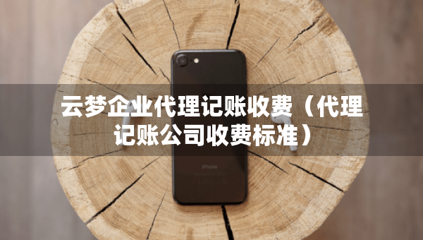 云夢企業(yè)代理記賬收費（代理記賬公司收費標準）