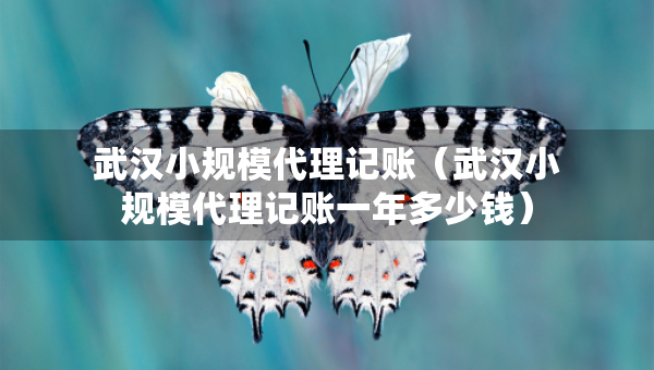 武漢小規(guī)模代理記賬(武漢小規(guī)模代理記賬一年多少錢) 武漢小規(guī)模代理記賬(武漢小規(guī)模代理記賬一年多少錢)