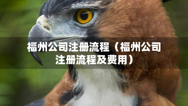 福州公司注冊流程（福州公司注冊流程及費(fèi)用）