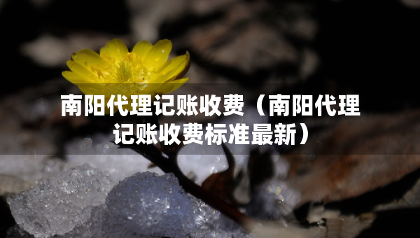 南陽(yáng)代理記賬收費(fèi)(南陽(yáng)代理記賬收費(fèi)標(biāo)準(zhǔn)最新) 南陽(yáng)代理記賬收費(fèi)(南陽(yáng)代理記賬收費(fèi)標(biāo)準(zhǔn)最新)