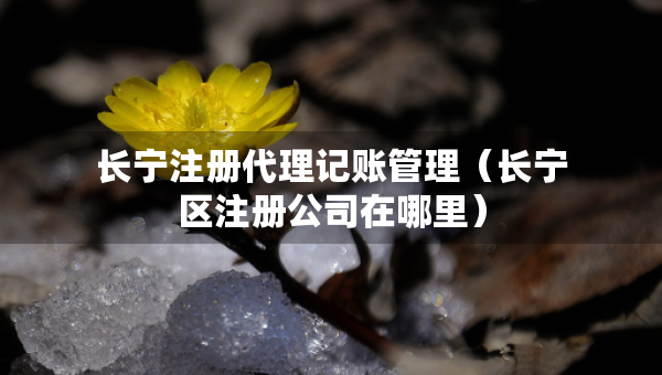 長寧注冊代理記賬管理（長寧區(qū)注冊公司在哪里）
