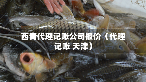 西青代理記賬公司報(bào)價(jià)(代理記賬 天津) 西青代理記賬公司報(bào)價(jià)(代理記賬 天津)