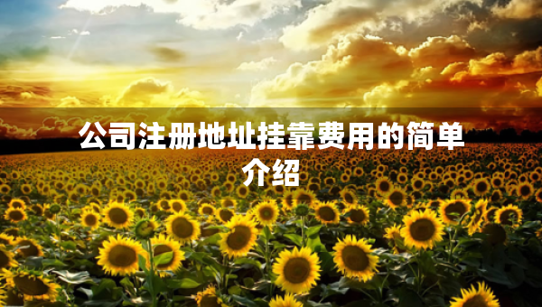 公司注冊地址掛靠費用的簡單介紹