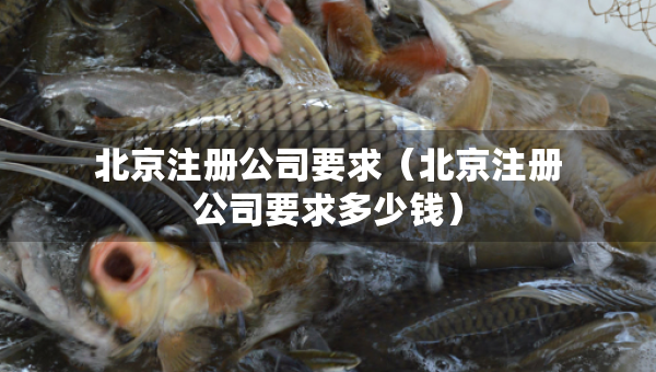 北京注冊公司要求（北京注冊公司要求多少錢）