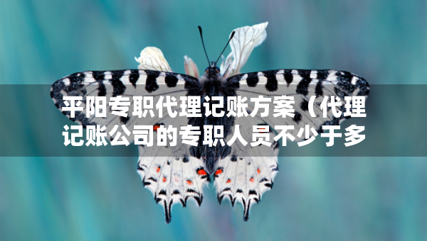 平陽(yáng)專職代理記賬方案（代理記賬公司的專職人員不少于多少人）