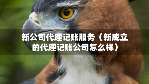 新公司代理記賬服務(wù)（新成立的代理記賬公司怎么樣）