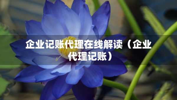 企業(yè)記賬代理在線解讀（企業(yè) 代理記賬）
