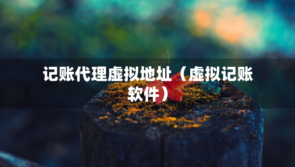 記賬代理虛擬地址（虛擬記賬軟件）