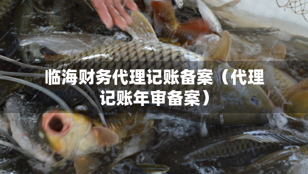 臨海財務代理記賬備案（代理記賬年審備案）