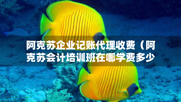 阿克蘇企業(yè)記賬代理收費(fèi)（阿克蘇會計(jì)培訓(xùn)班在哪學(xué)費(fèi)多少）