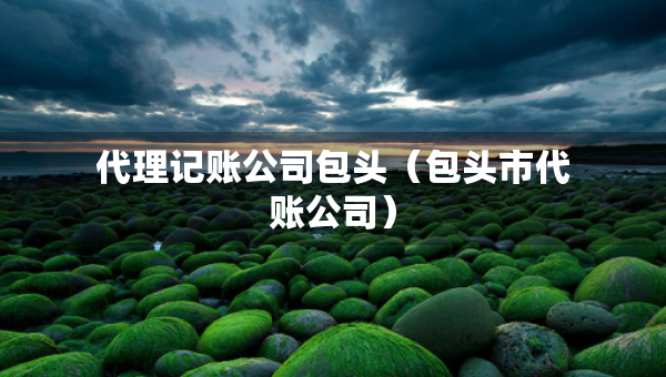 代理記賬公司包頭（包頭市代賬公司）